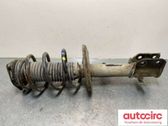 Amortiguador delantero con muelle espiral