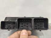 Engine control unit/module ECU