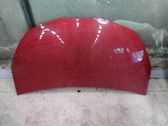 Motorhaube