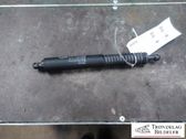 Tailgate/trunk strut/damper