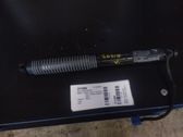Tailgate/trunk strut/damper