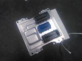 Engine control unit/module ECU