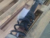 Amortiguador delantero con muelle espiral