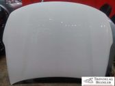 Engine bonnet/hood