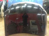 Motorhaube
