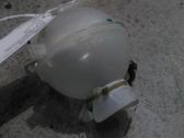 Fuel expansion tank
