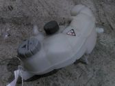 Fuel expansion tank