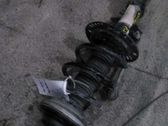 Front shock absorber with coil spring