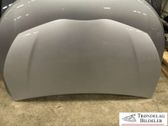 Engine bonnet/hood