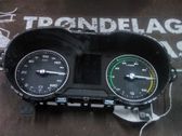 Speedometer (instrument cluster)