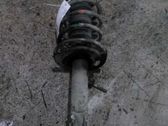 Front shock absorber with coil spring