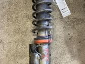Rear shock absorber with coil spring