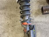 Rear shock absorber with coil spring