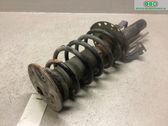 Front shock absorber with coil spring