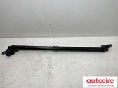 Tailgate/trunk strut/damper