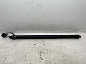Tailgate/trunk strut/damper