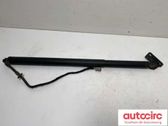 Tailgate/trunk strut/damper