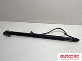 Tailgate/trunk strut/damper