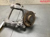 Rear wheel hub spindle/knuckle