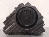 Front door speaker