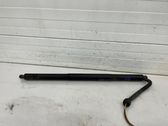 Tailgate/trunk strut/damper