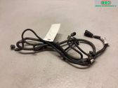 Mazo de cables