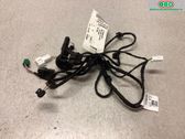 Mazo de cables