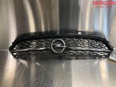 Kühlergrill