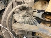 Rear wheel hub spindle/knuckle