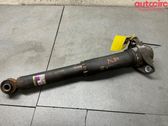Stoßdämpfer hinten