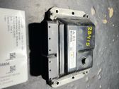 Engine control unit/module ECU