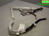 Airbag del techo