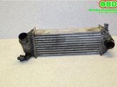 Radiador intercooler