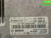 Engine control unit/module ECU