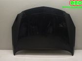 Engine bonnet/hood