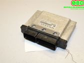 Engine control unit/module ECU