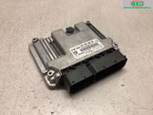 Engine control unit/module ECU