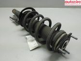 Front shock absorber with coil spring