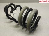 Rear coil spring rubber mount