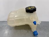 Fuel expansion tank