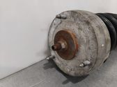 Front shock absorber with coil spring