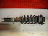 Front shock absorber with coil spring