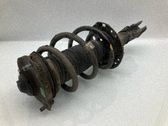 Amortiguador delantero con muelle espiral