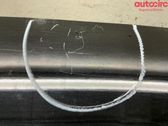 Tailgate/trunk/boot lid