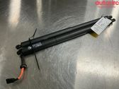 Motor de apertura del maletero/compartimento de carga