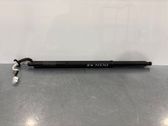 Tailgate/trunk strut/damper
