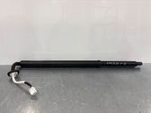 Tailgate/trunk strut/damper
