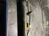 Tailgate/trunk strut/damper