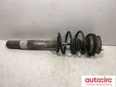 Front shock absorber with coil spring
