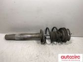 Front shock absorber with coil spring